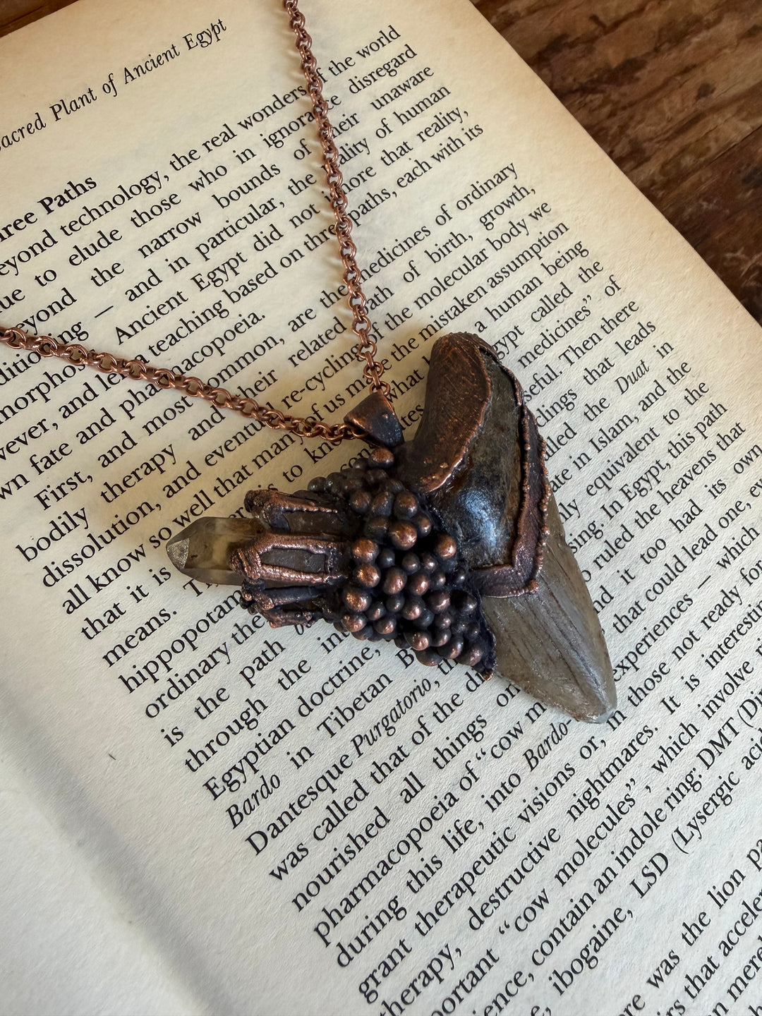 The Ancient Secrets Talisman // Megalodon Tooth & Citrine 𓆃