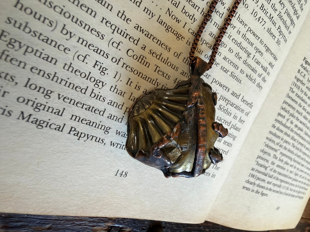 The Of Earth Amulet // Ammonite Negative 𓆃