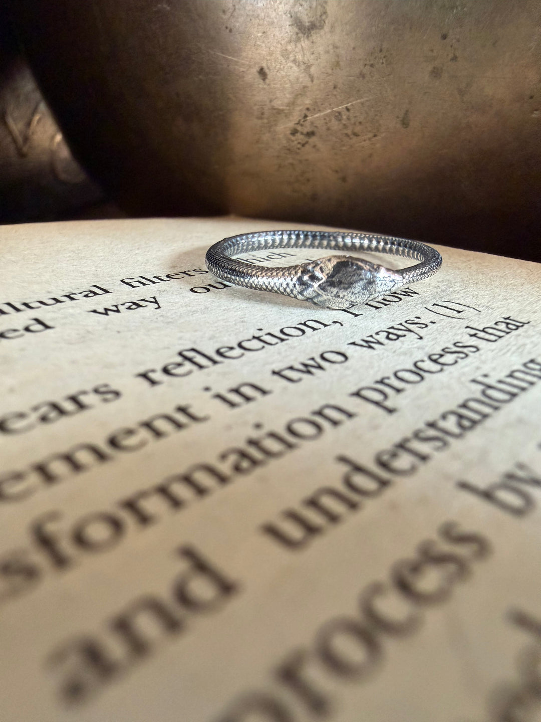 Ouroboros Ring
