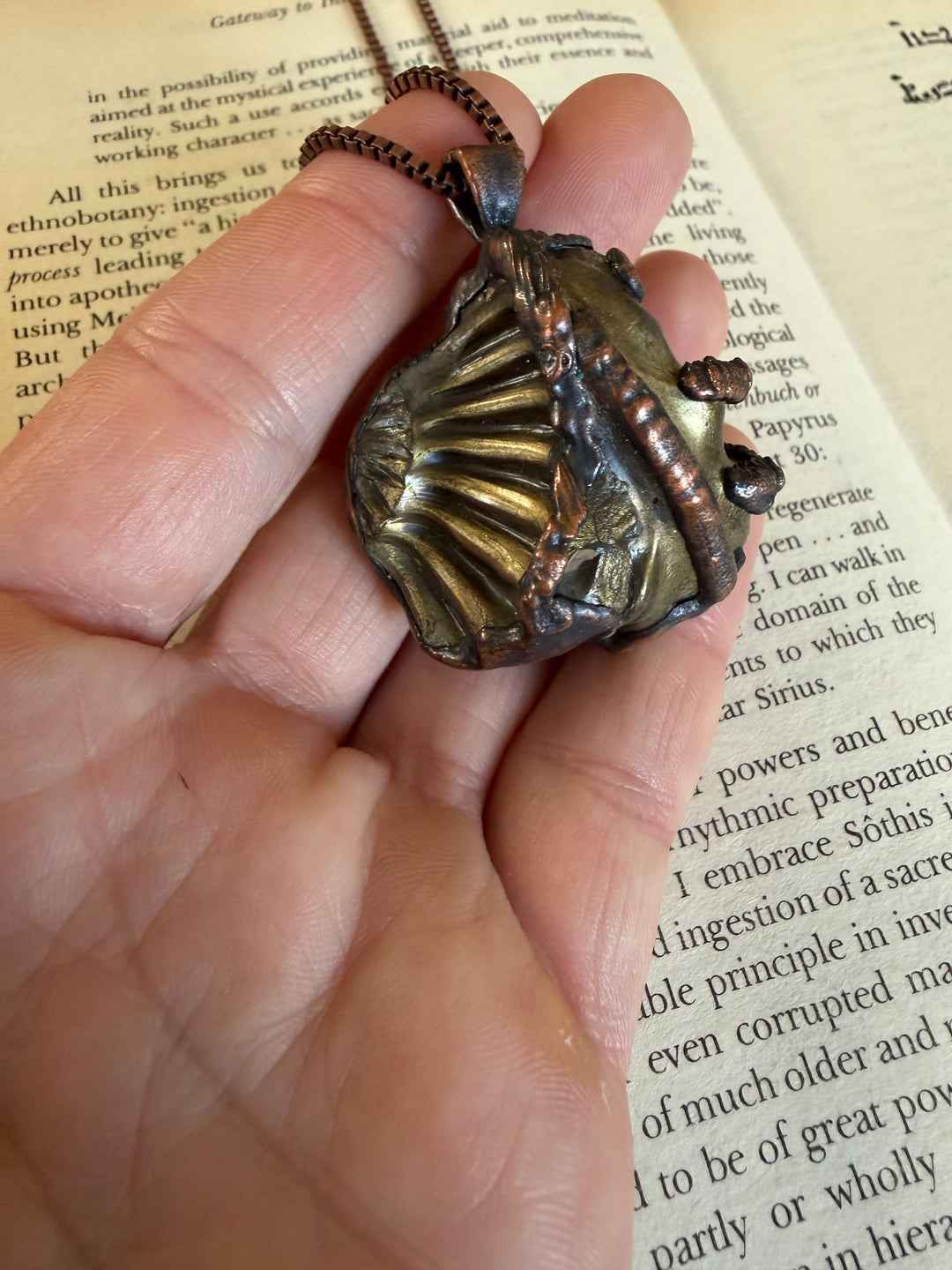 The Of Earth Amulet // Ammonite Negative 𓆃