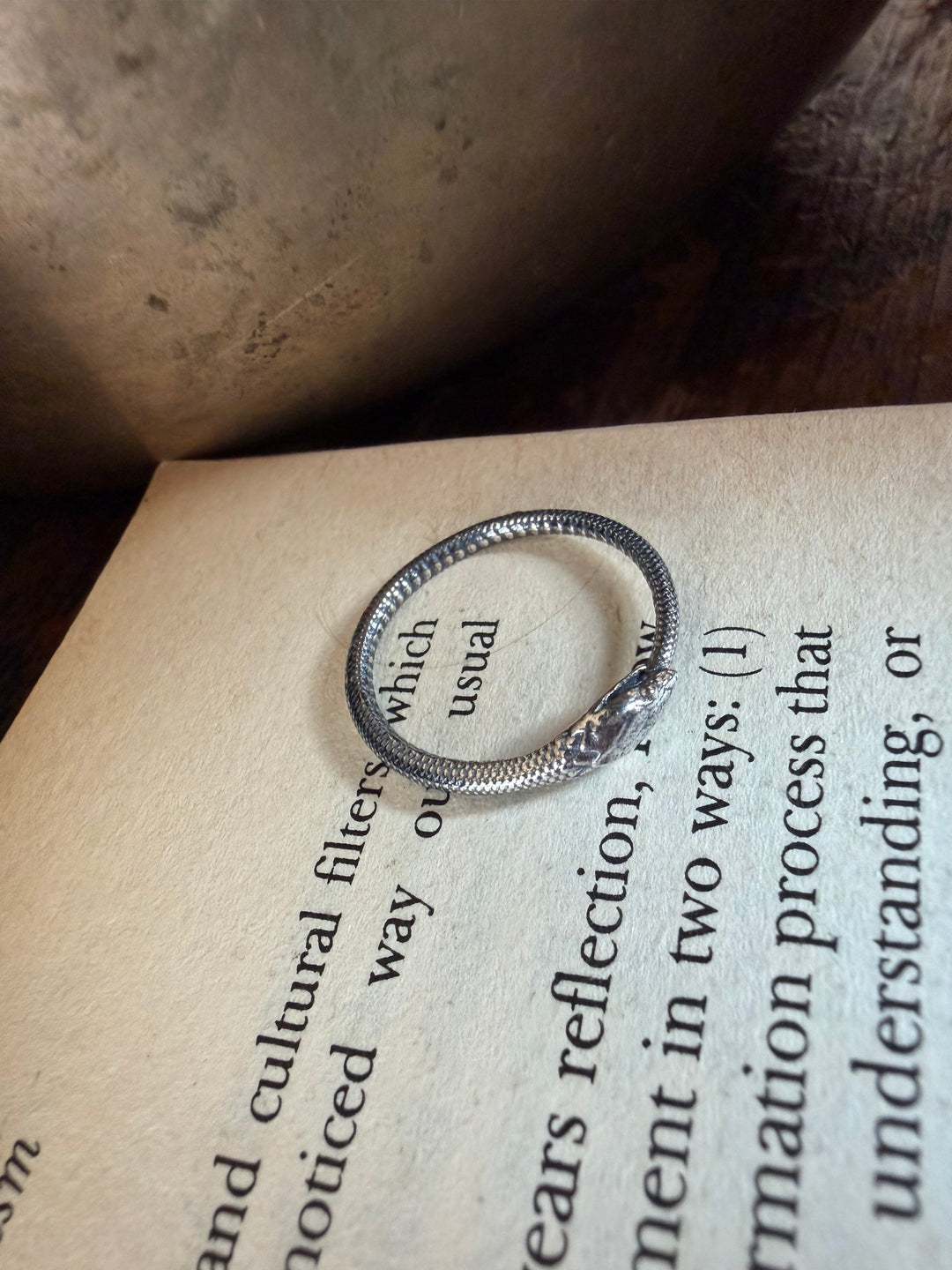 Ouroboros Ring