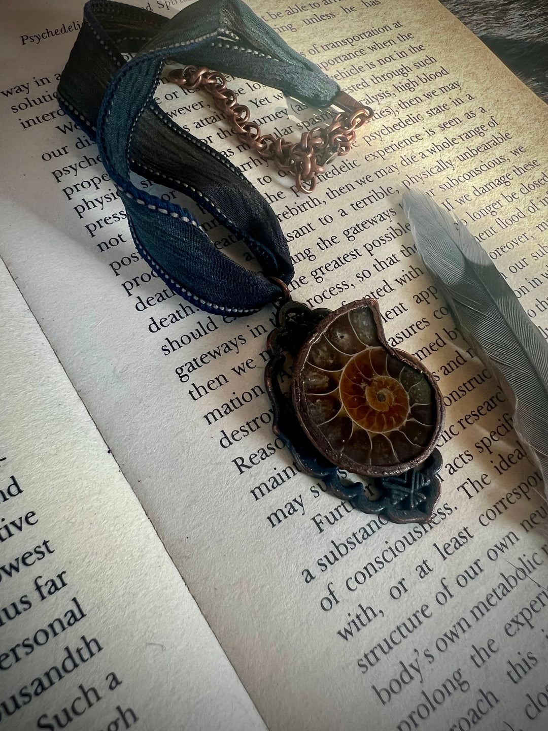 The Ancient Secrets Talisman // Ammonite 𓆃