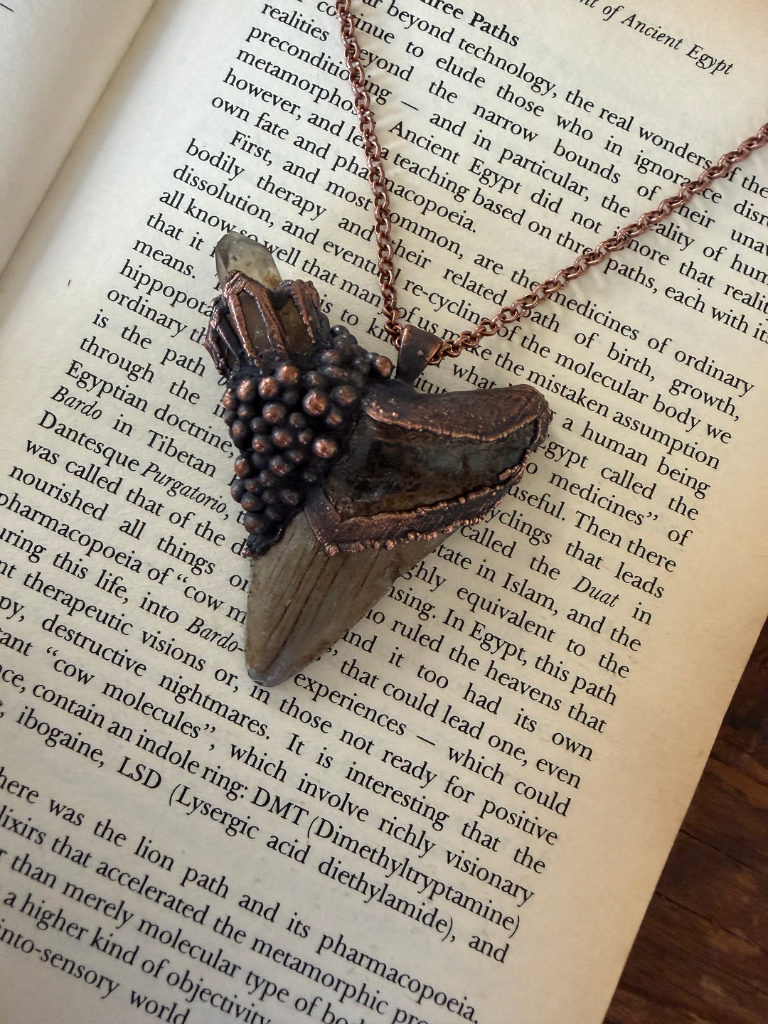 The Ancient Secrets Talisman // Megalodon Tooth & Citrine 𓆃