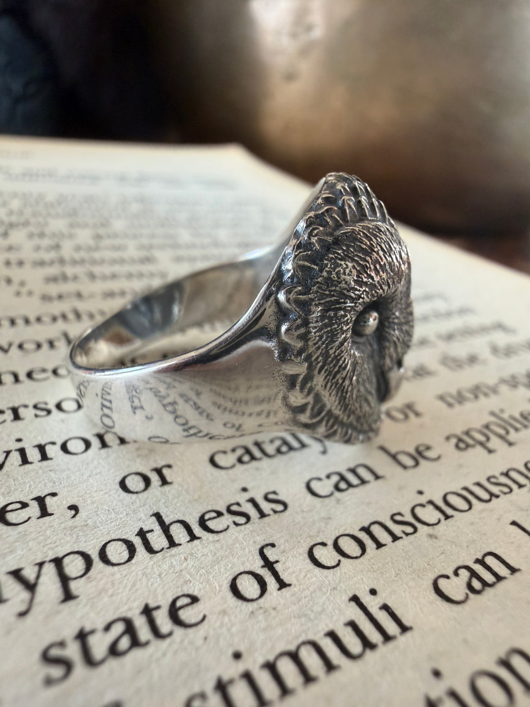 The Wise Owl Ring