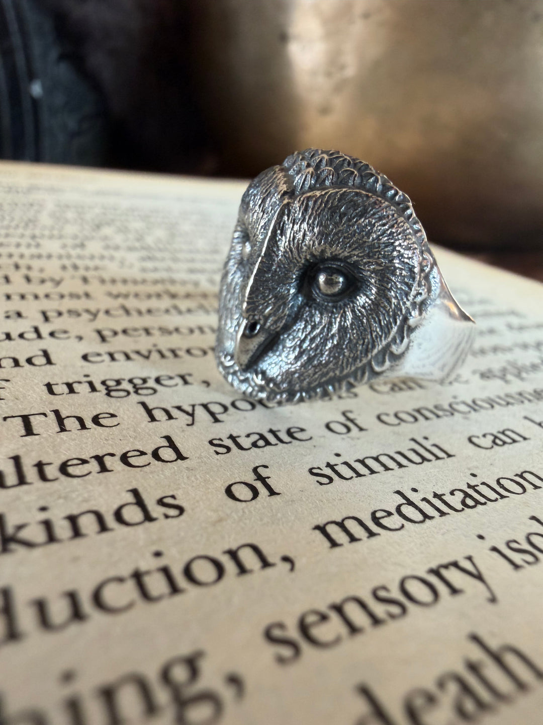 The Wise Owl Ring