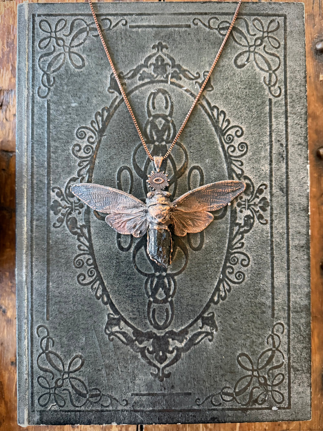 The Metamorphosis Talisman // Real Cicada with Black Tourmaline 𓆃