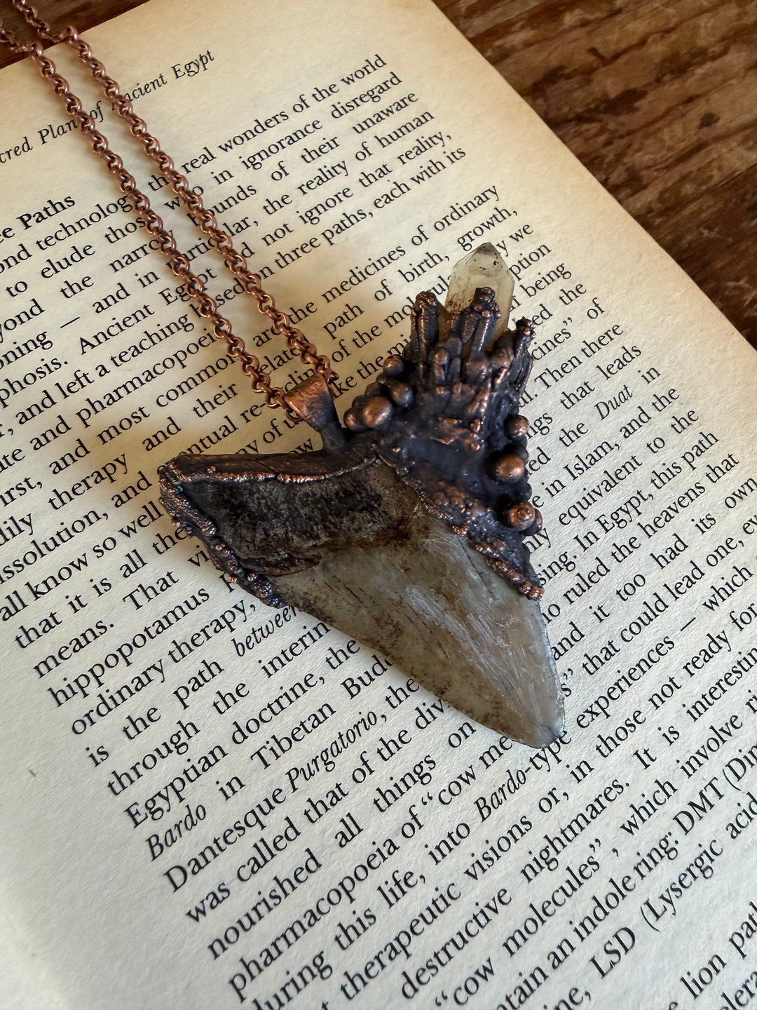 The Ancient Secrets Talisman // Megalodon Tooth & Citrine 𓆃