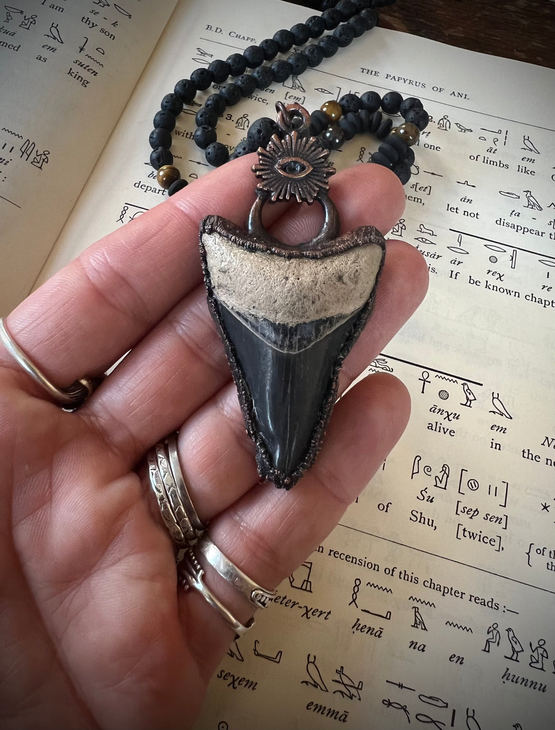 The Ancient Secrets Talisman // Bone Valley Megalodon 𓆃