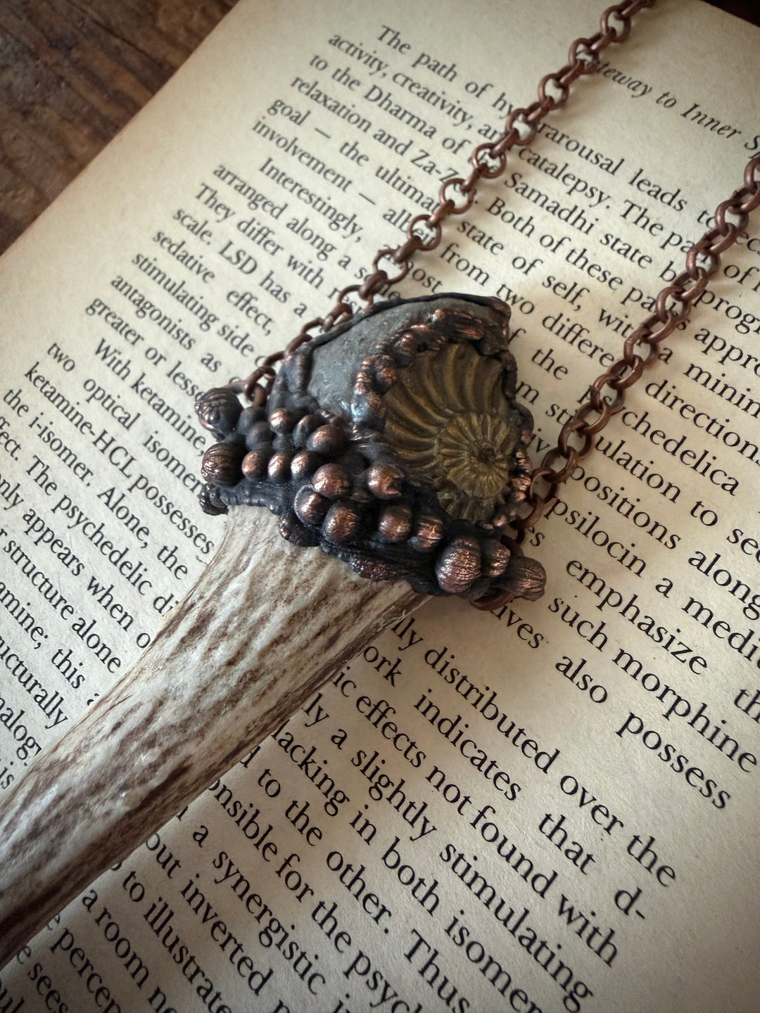 The Cycles of Life Talisman // Deer Antler, Ammonite Negative 𓆃