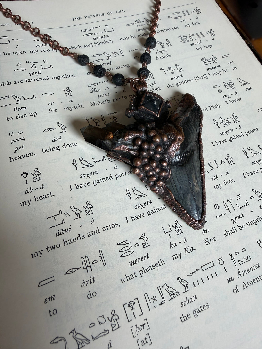 The Ancient Secrets Talisman // Megalodon Tooth, Smokey Quartz & Clear Quartz
