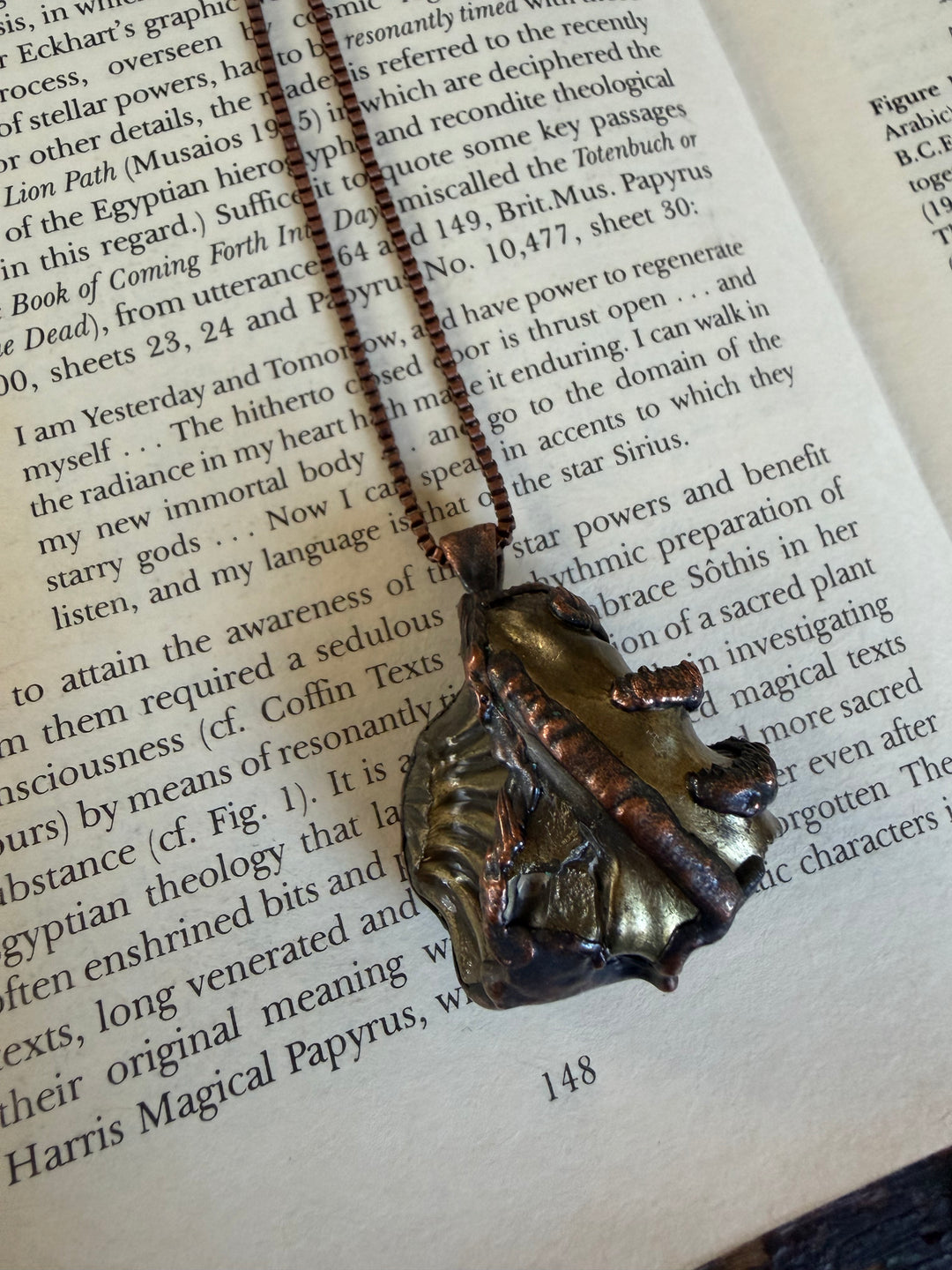 The Of Earth Amulet // Ammonite Negative 𓆃