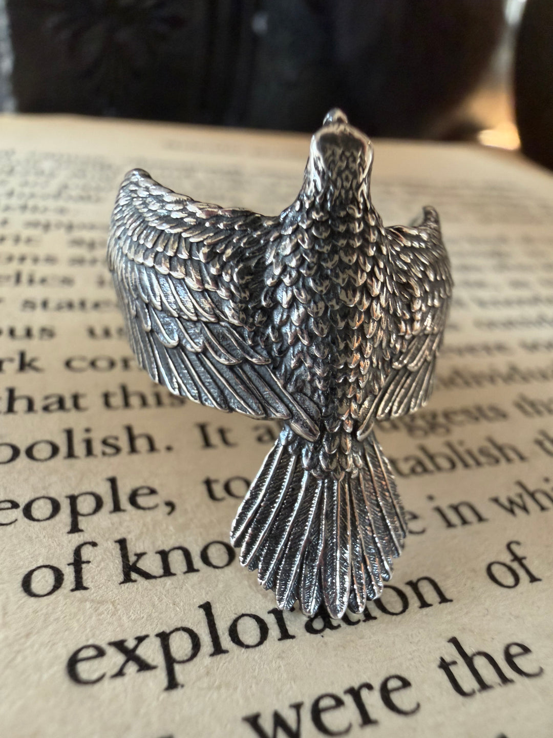 Visions of Flight Ring