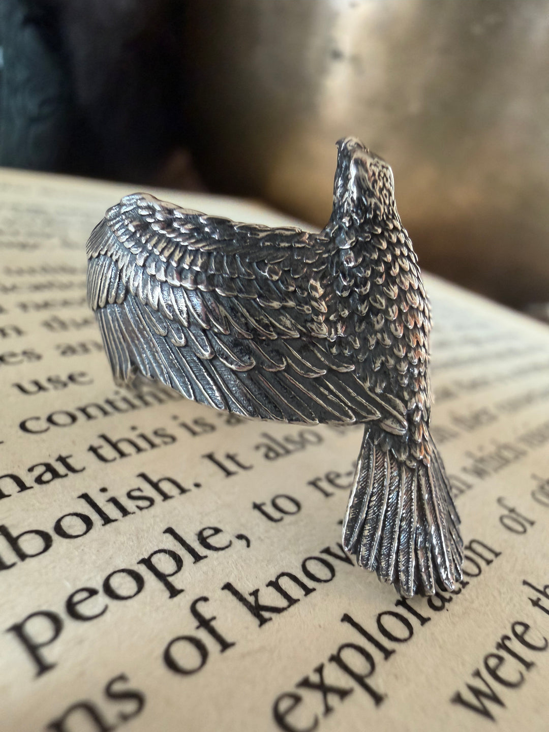 Visions of Flight Ring