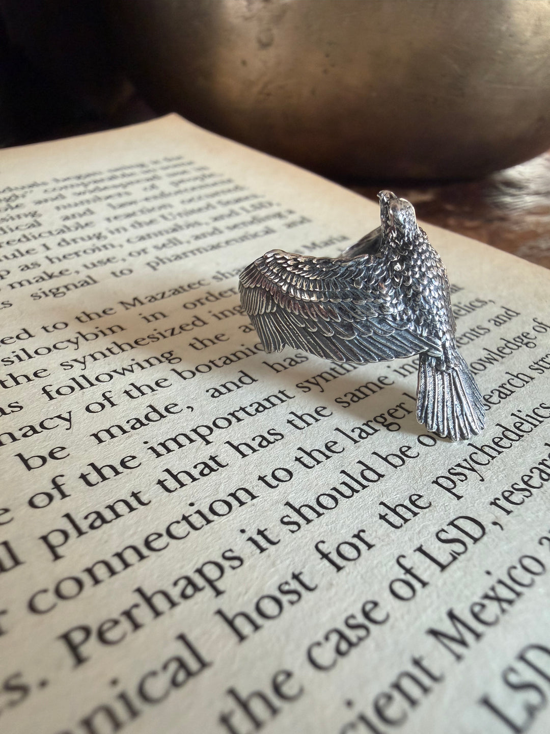 Visions of Flight Ring