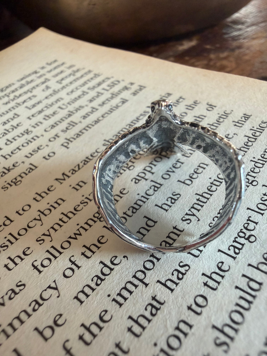 Visions of Flight Ring