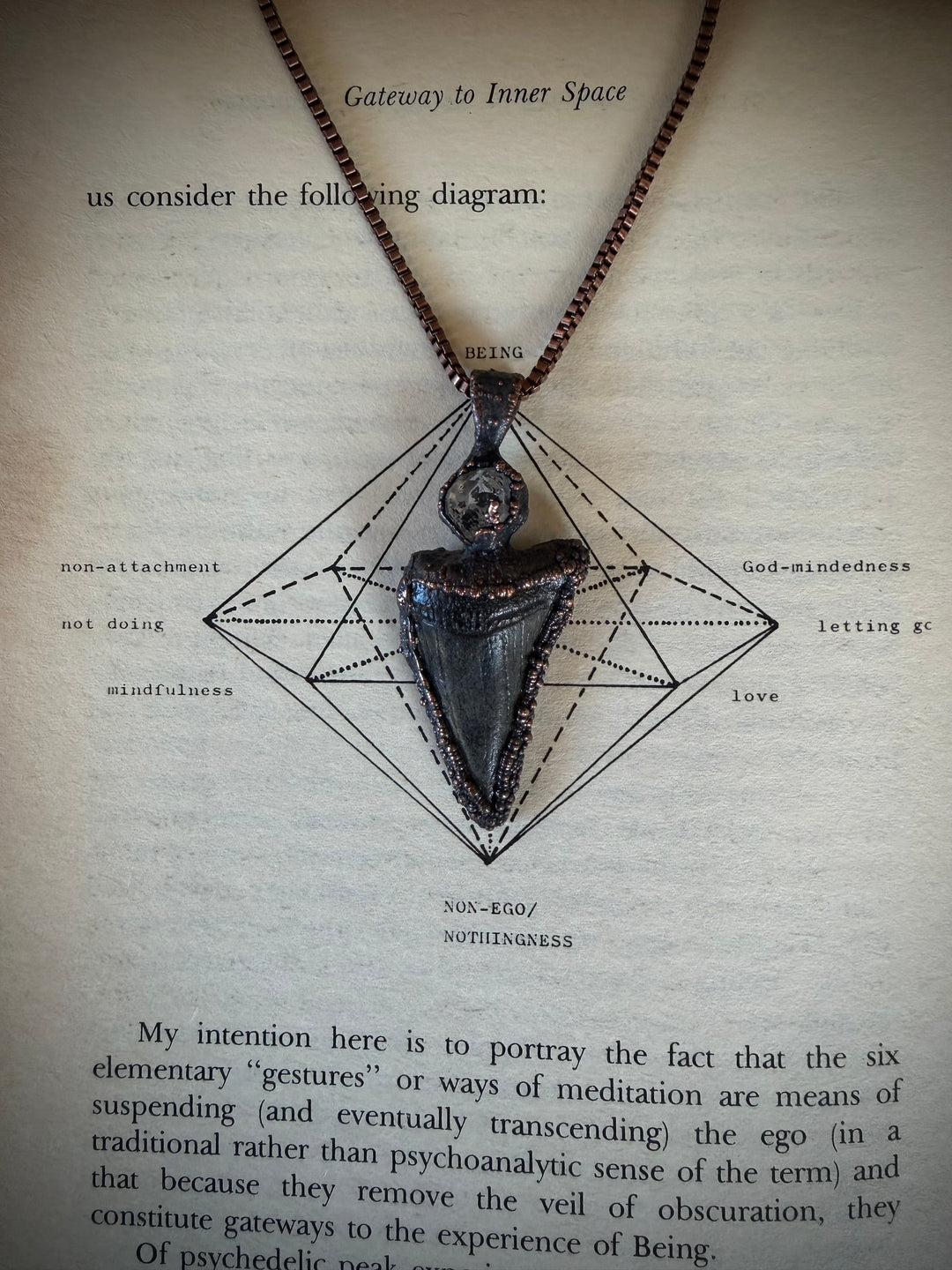 Ancient Secrets Talisman // Megalodon Tooth + Herkimer Quartz