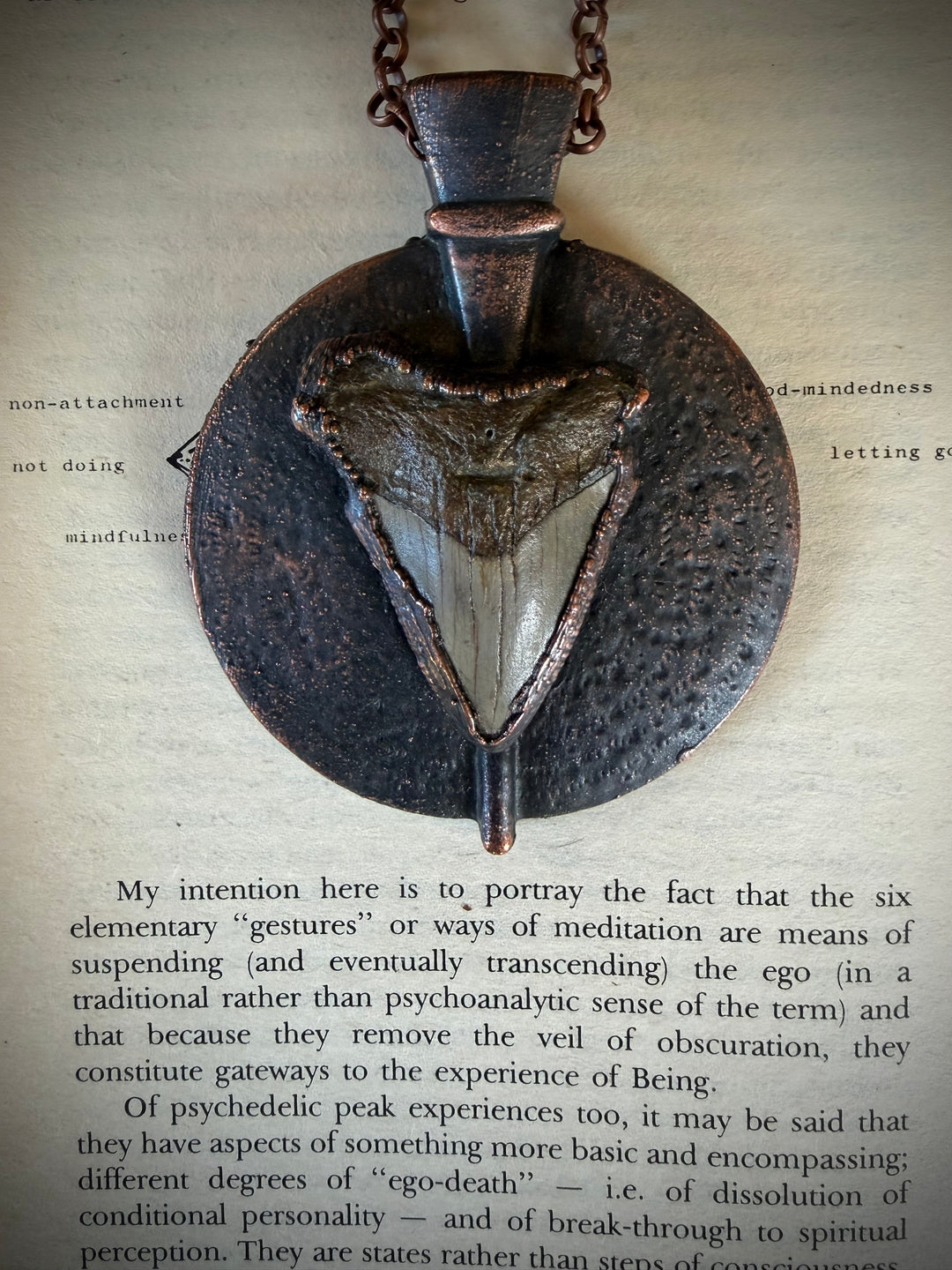 The Ancient Secrets Talisman //  Megalodon Tooth  𓆃