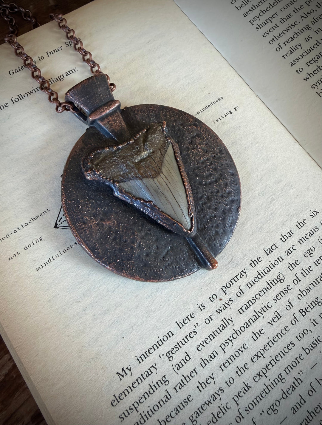 The Ancient Secrets Talisman //  Megalodon Tooth  𓆃