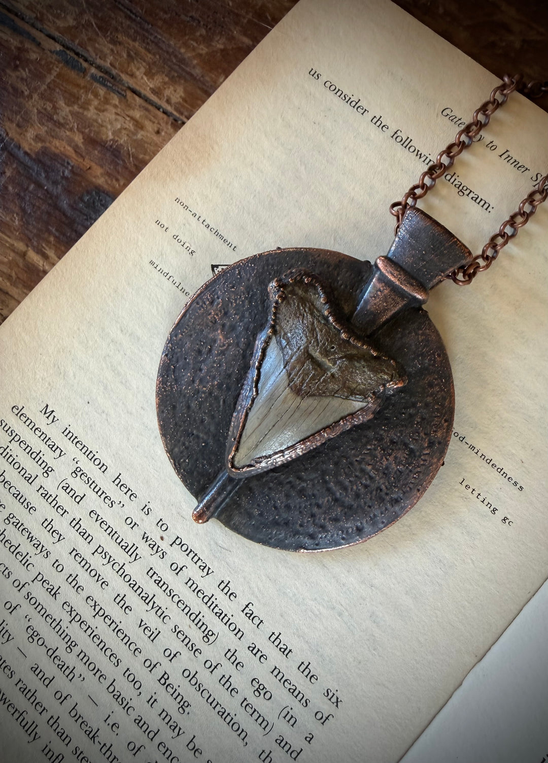 The Ancient Secrets Talisman //  Megalodon Tooth  𓆃
