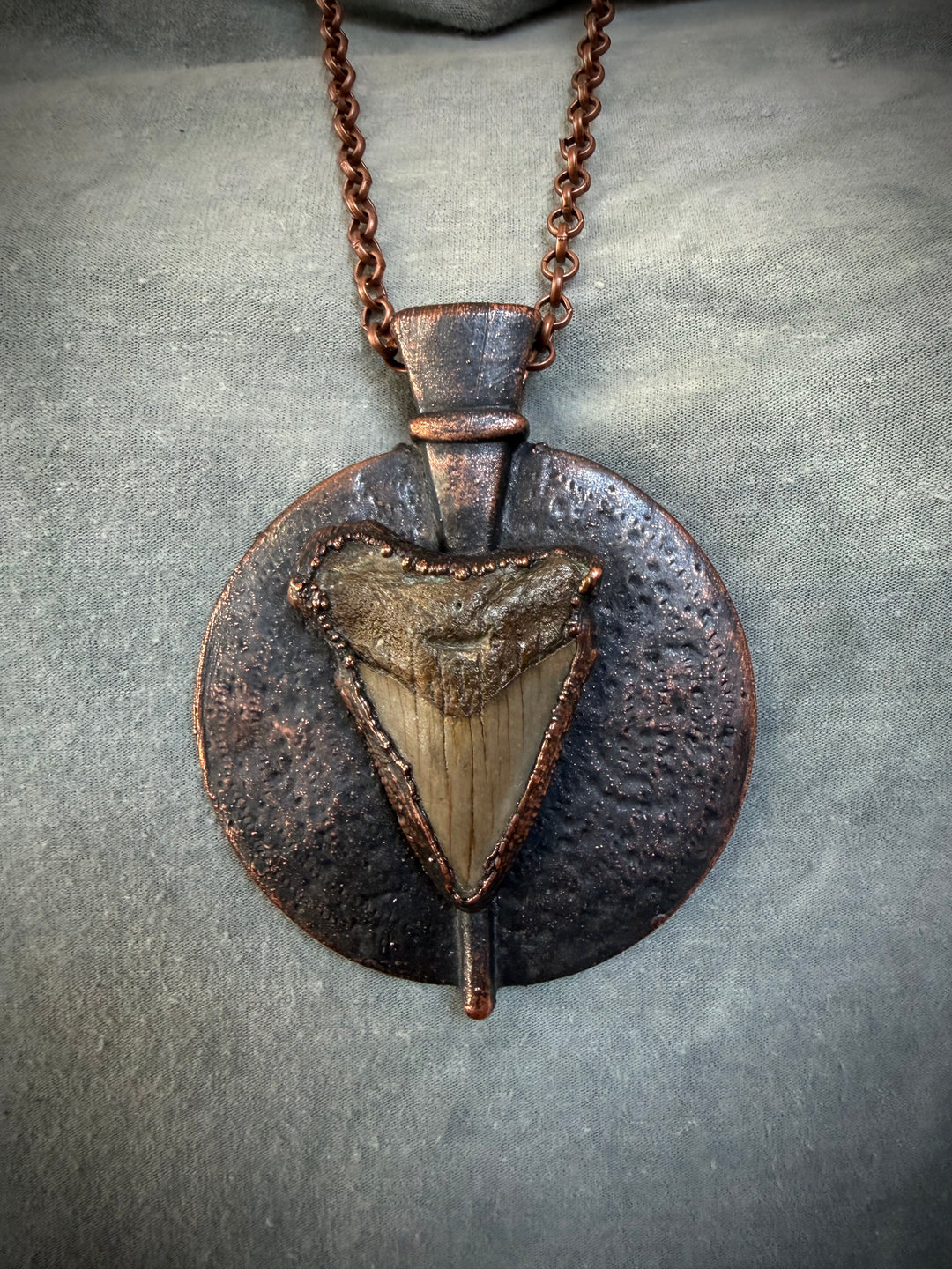 The Ancient Secrets Talisman //  Megalodon Tooth  𓆃